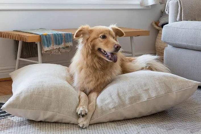 Christmas dog beds which gives top comfort