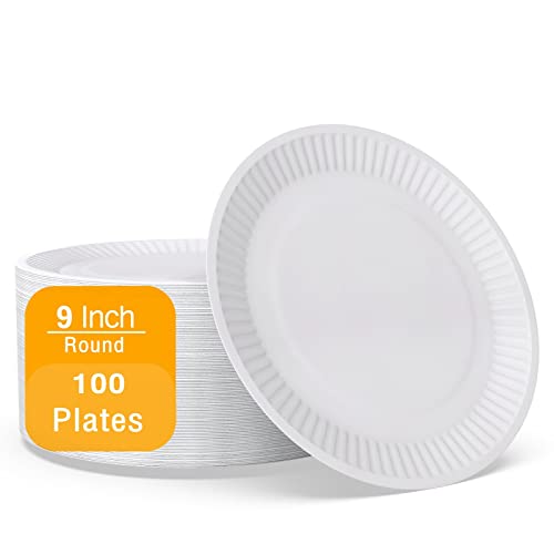 Best paper plates in 2023 [Based on 50 expert reviews]